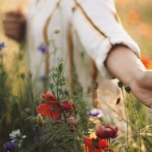 Petersfield Linen Services, Outsourcing your Linen