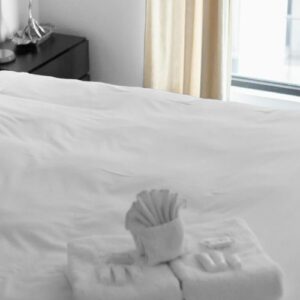 Commercial laundry services go far beyond simple cleaning, playing a crucial role in ensuring hygiene, customer satisfaction, and efficiency