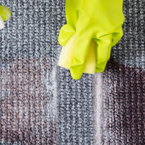 The Science of Stain Removal