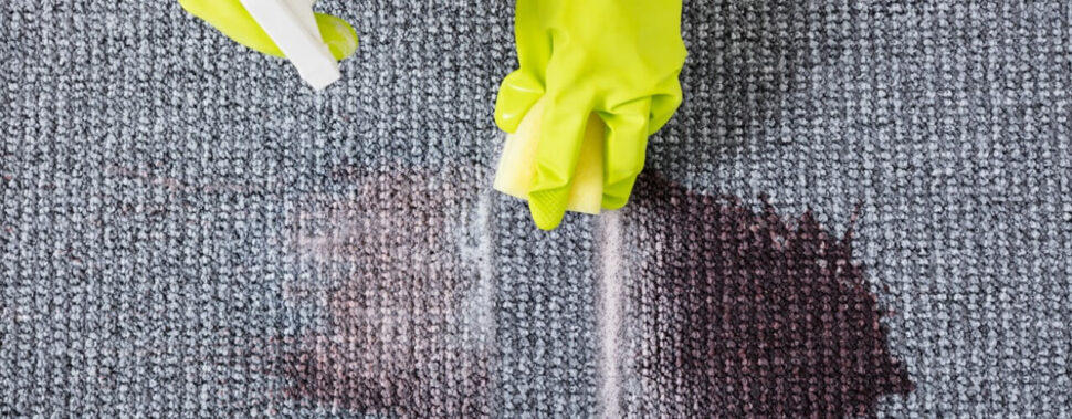 The Science of Stain Removal
